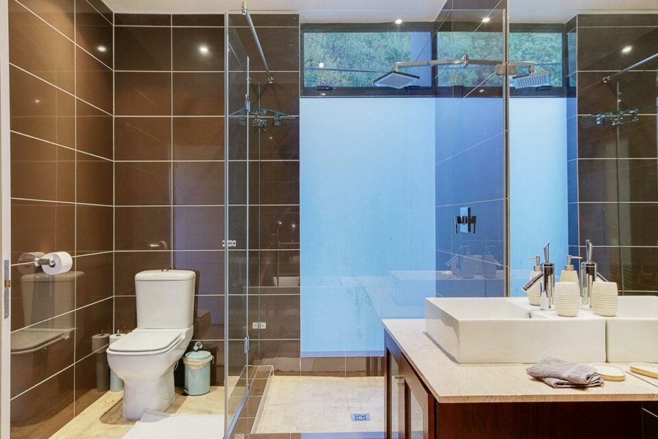 Harrier Place - Master Bathroom Shower