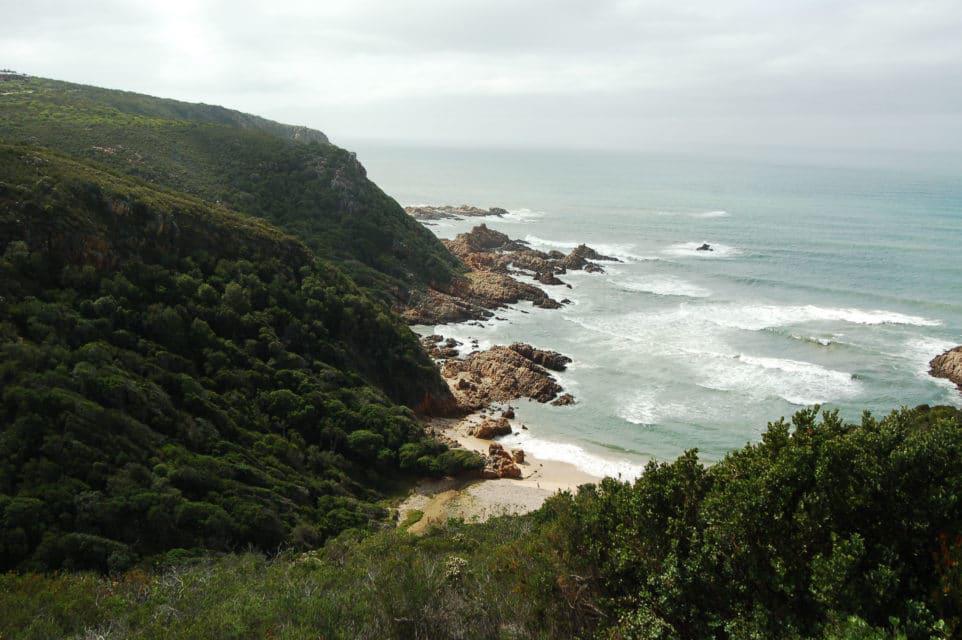 blue-horizon-41506357