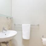 ocean-camellia-39947826