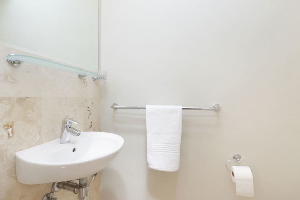 ocean-camellia-39947826