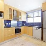 ocean-camellia-39947830