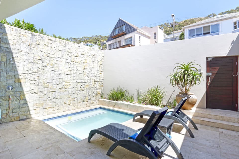 ocean-camellia-39947832