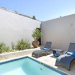 ocean-camellia-39947833