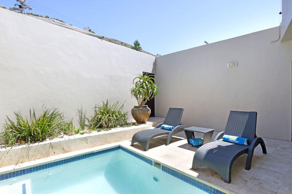 ocean-camellia-39947833