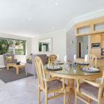 ocean-camellia-39947836