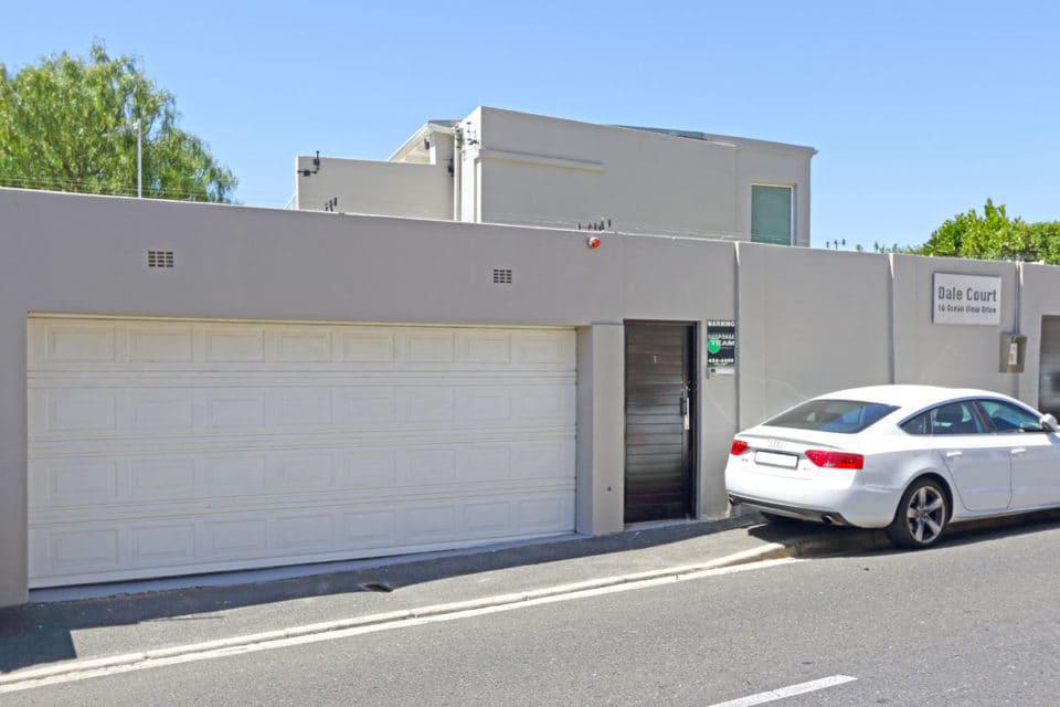 ocean-camellia-39947838