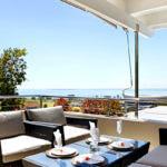 ocean-camellia-39947840