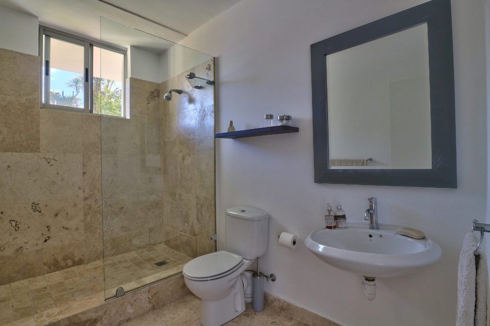 the-icon-meadows-46331664