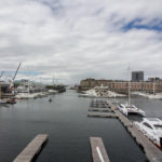 pembroke-203-49757457