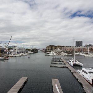 pembroke-203-49757457