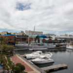 pembroke-203-49757459