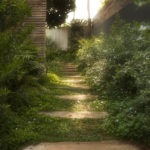 spanish-farm-82502727