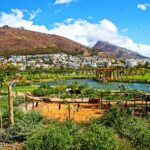 Atlantic Spray - Park