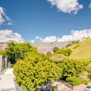 209 DWP - Table Mountain view