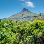 17 Geneva Middle - Lion's Head Views