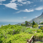 The Kestrel - Lion's Head views